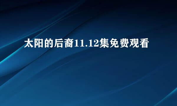 太阳的后裔11.12集免费观看