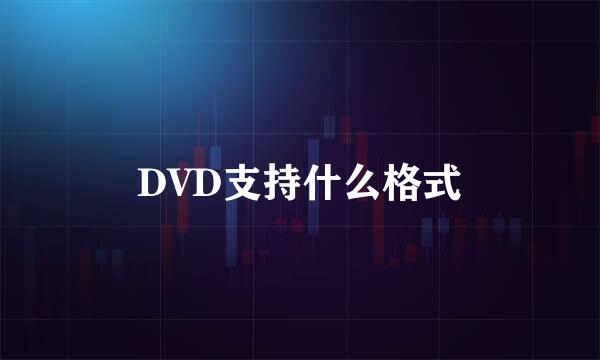 DVD支持什么格式