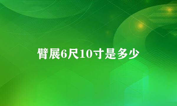 臂展6尺10寸是多少