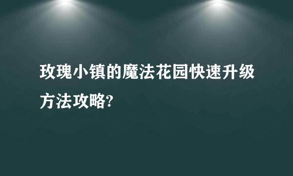 玫瑰小镇的魔法花园快速升级方法攻略?