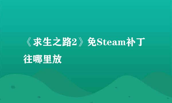 《求生之路2》免Steam补丁往哪里放