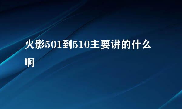 火影501到510主要讲的什么啊