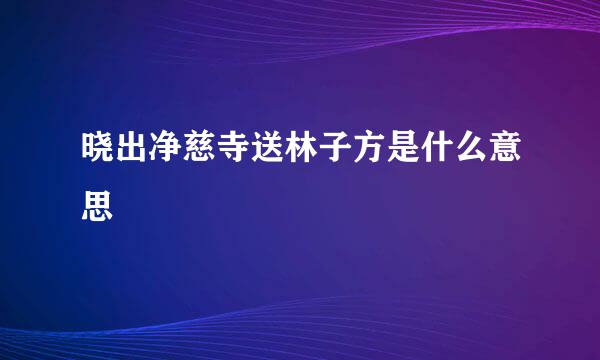 晓出净慈寺送林子方是什么意思