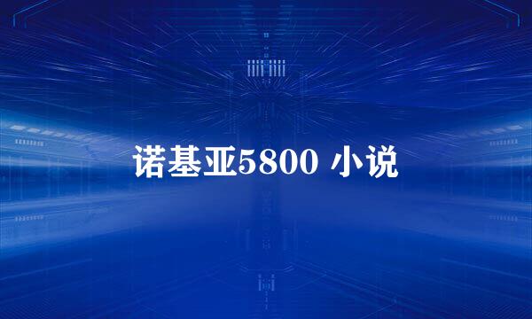 诺基亚5800 小说