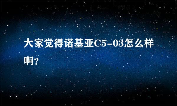 大家觉得诺基亚C5-03怎么样啊？