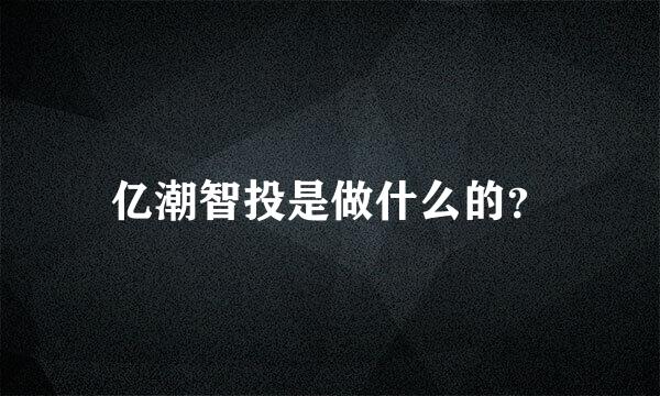 亿潮智投是做什么的？