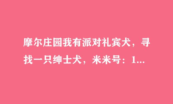 摩尔庄园我有派对礼宾犬，寻找一只绅士犬，米米号：11489567，如果有人请加我谢谢