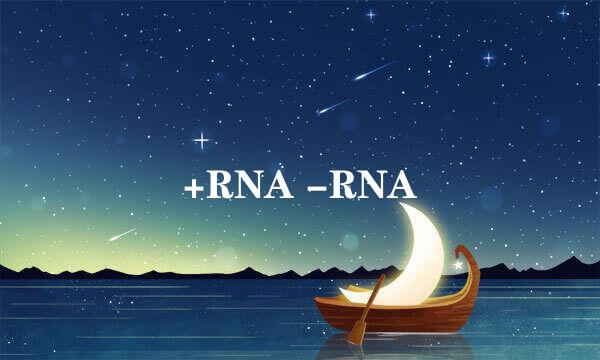 +RNA -RNA