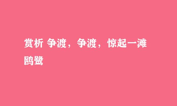 赏析 争渡，争渡，惊起一滩鸥鹭