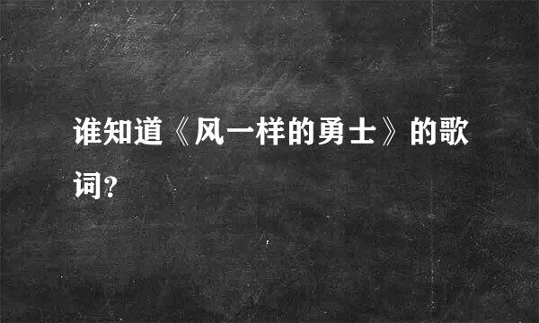 谁知道《风一样的勇士》的歌词？