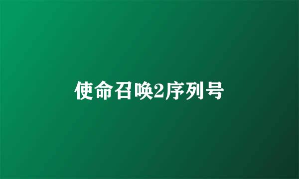 使命召唤2序列号