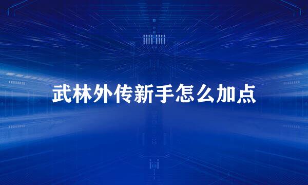 武林外传新手怎么加点