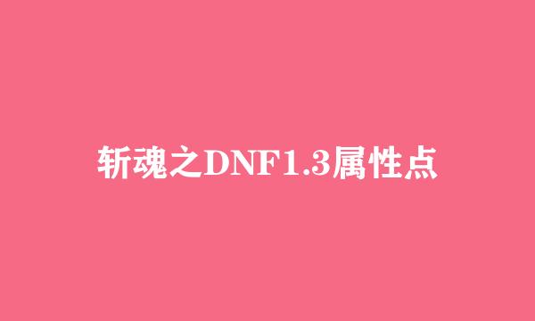 斩魂之DNF1.3属性点