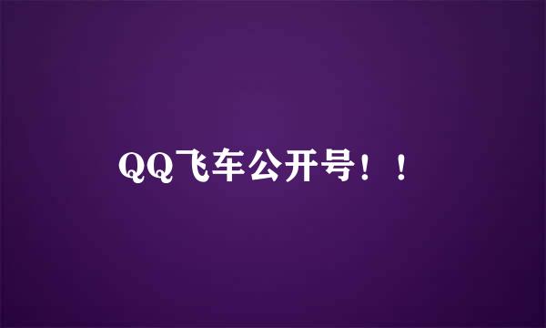 QQ飞车公开号！！