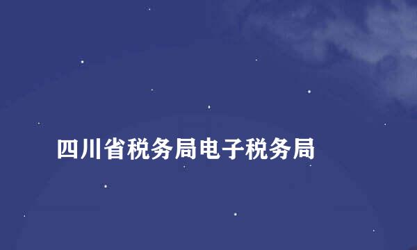 
四川省税务局电子税务局
