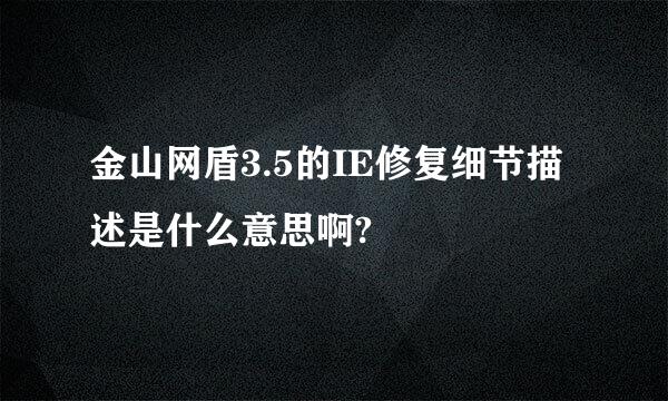 金山网盾3.5的IE修复细节描述是什么意思啊?