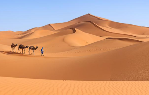 撒哈拉沙漠在哪啊?