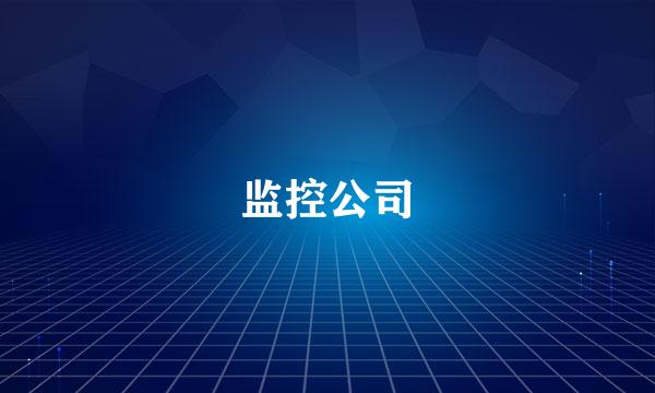 监控公司