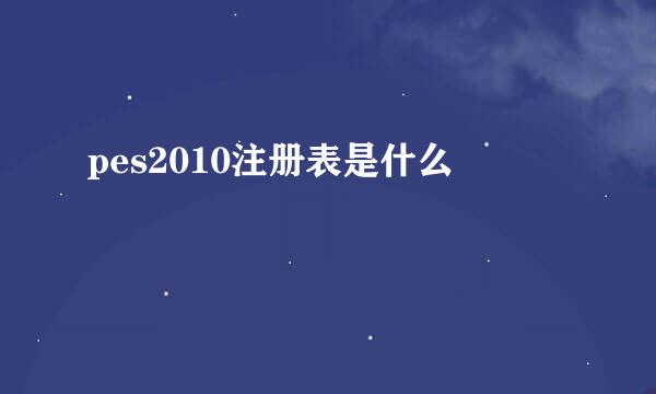 pes2010注册表是什么