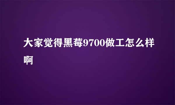 大家觉得黑莓9700做工怎么样啊