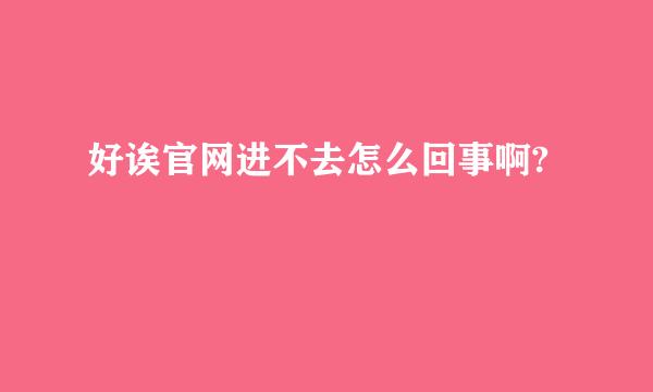 好诶官网进不去怎么回事啊?