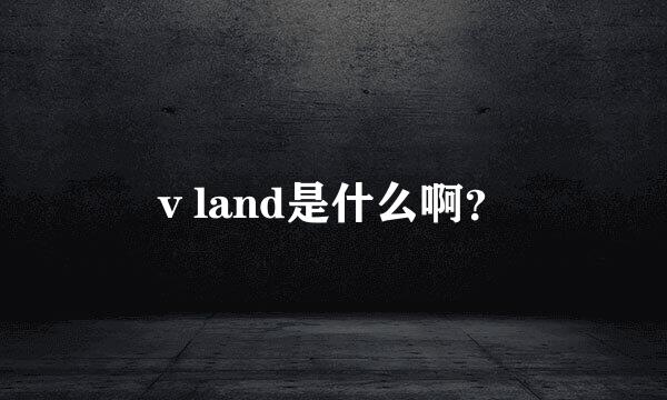 v land是什么啊？