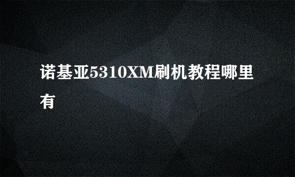 诺基亚5310XM刷机教程哪里有