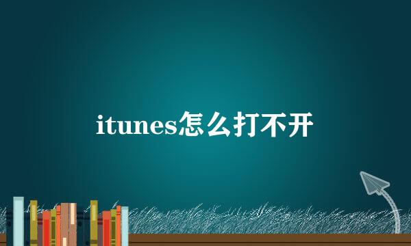 itunes怎么打不开