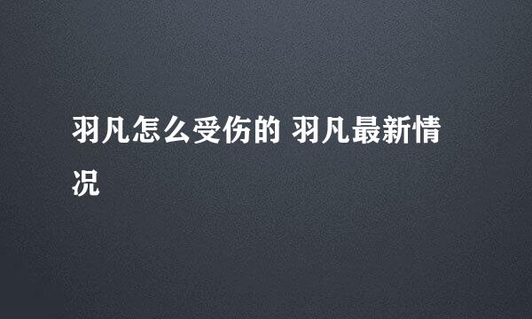 羽凡怎么受伤的 羽凡最新情况