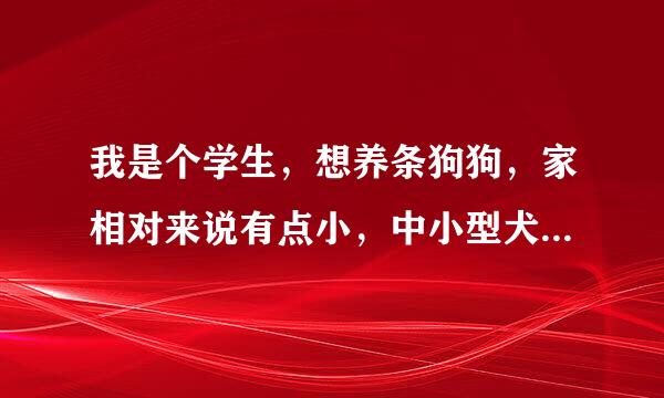 我是个学生，想养条狗狗，家相对来说有点小，中小型犬吧，购买及平时花费一定要小，花费太大也接受不了呀