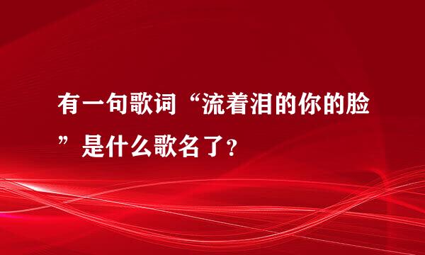 有一句歌词“流着泪的你的脸”是什么歌名了？