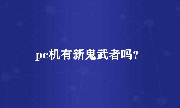 pc机有新鬼武者吗？