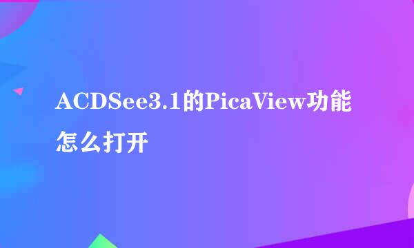 ACDSee3.1的PicaView功能怎么打开