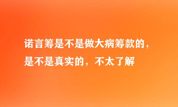 诺言筹是不是做大病筹款的，是不是真实的，不太了解