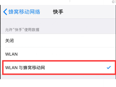 苹果手机怎么设置允许使用网络