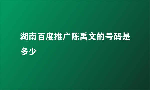 湖南百度推广陈禹文的号码是多少