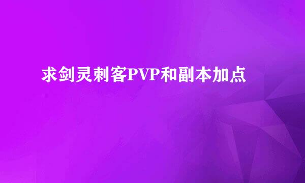 求剑灵刺客PVP和副本加点