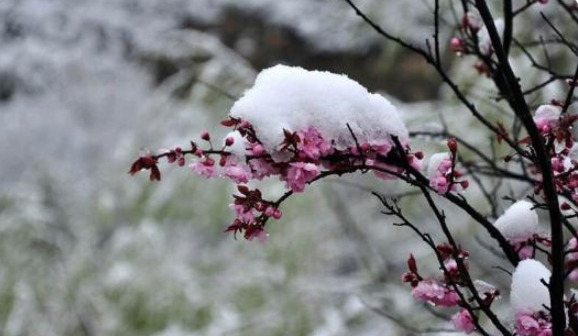 暴雪蓝色预警继续，涉及河北内蒙古等多地，今年的倒春寒为何这么冷？