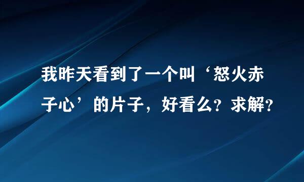 我昨天看到了一个叫‘怒火赤子心’的片子，好看么？求解？