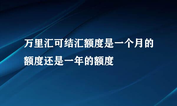 万里汇可结汇额度是一个月的额度还是一年的额度