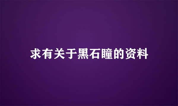 求有关于黑石瞳的资料