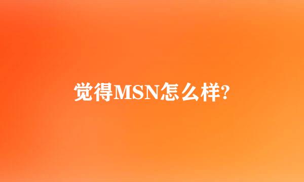 觉得MSN怎么样?