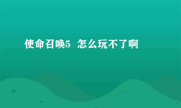 使命召唤5  怎么玩不了啊