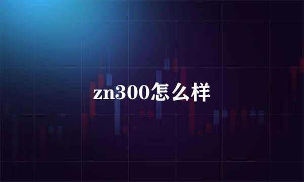 zn300怎么样