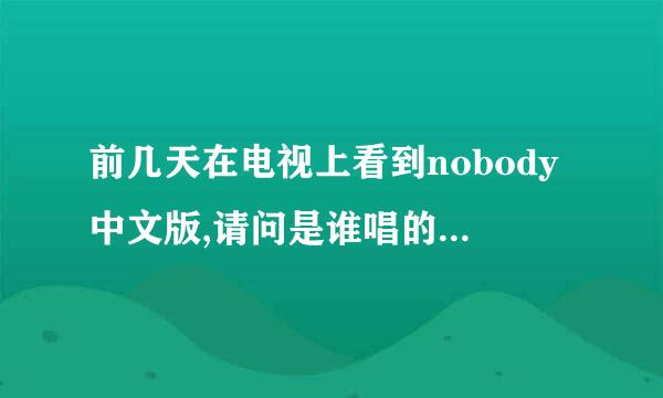 前几天在电视上看到nobody中文版,请问是谁唱的 (是三个女的)