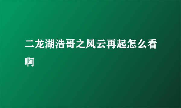 二龙湖浩哥之风云再起怎么看啊