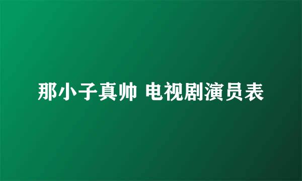 那小子真帅 电视剧演员表