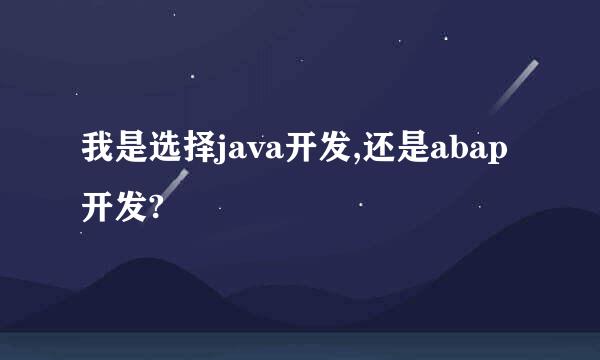 我是选择java开发,还是abap开发?