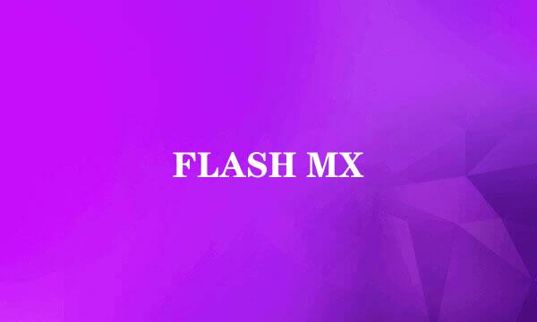 FLASH MX