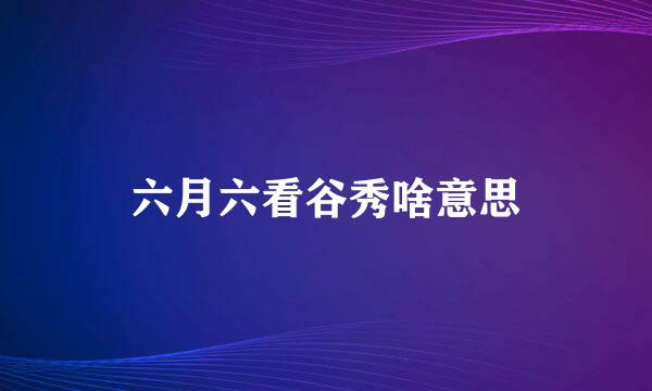 六月六看谷秀啥意思